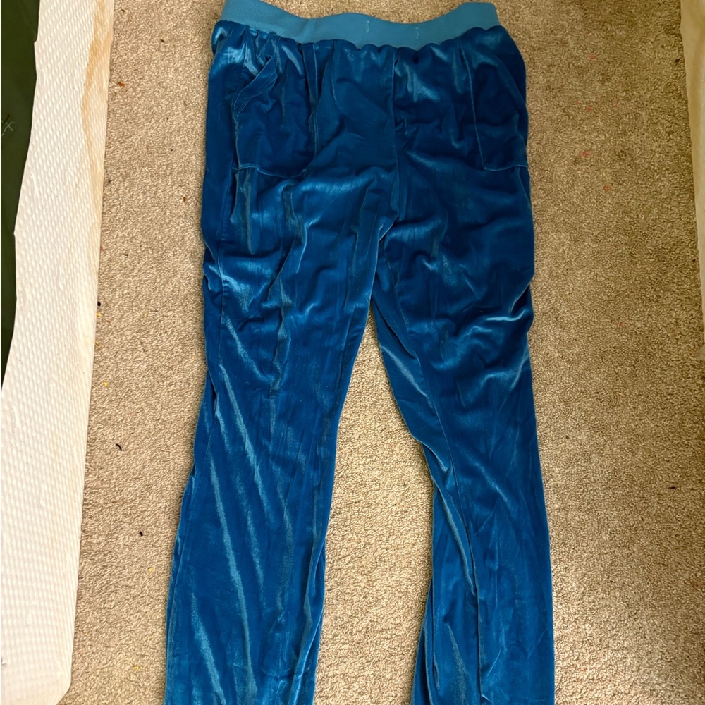Blue Velvet Jogger Pants